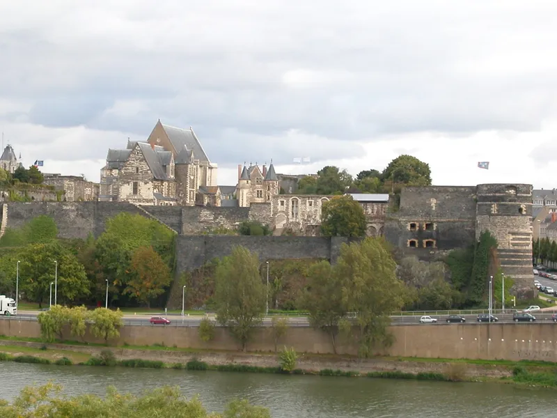 Vue de Angers - coaching orientation scolaire