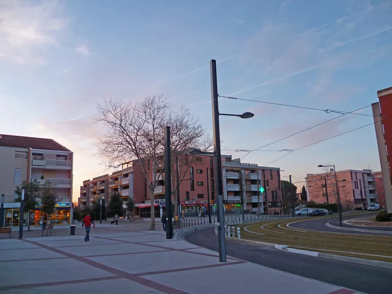 Vue de Blagnac - coaching orientation scolaire