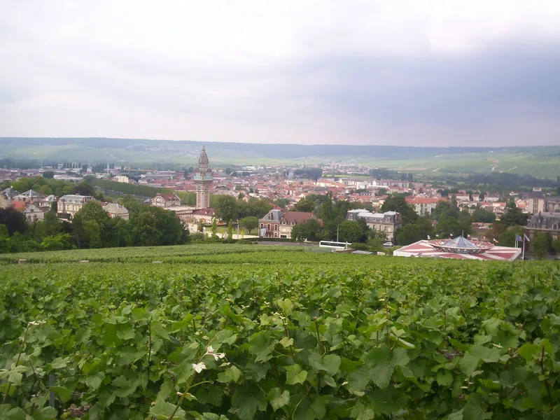 Vue de Épernay - coaching orientation scolaire