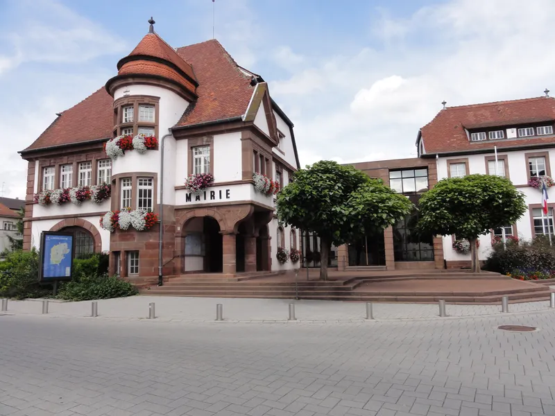 Vue de Lingolsheim - coaching orientation scolaire
