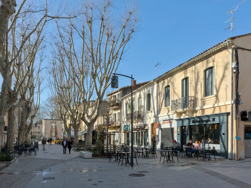 Vue de Lunel - coaching orientation scolaire