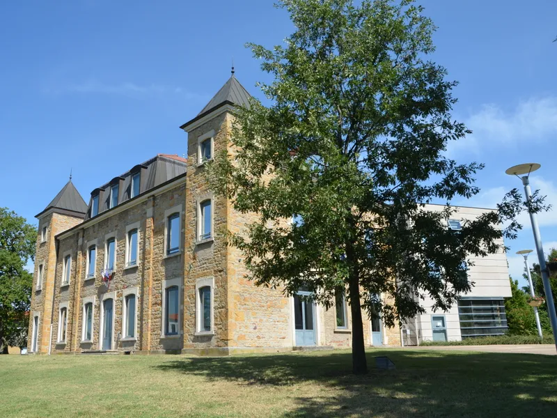 Vue de Rillieux-la-Pape - coaching orientation scolaire