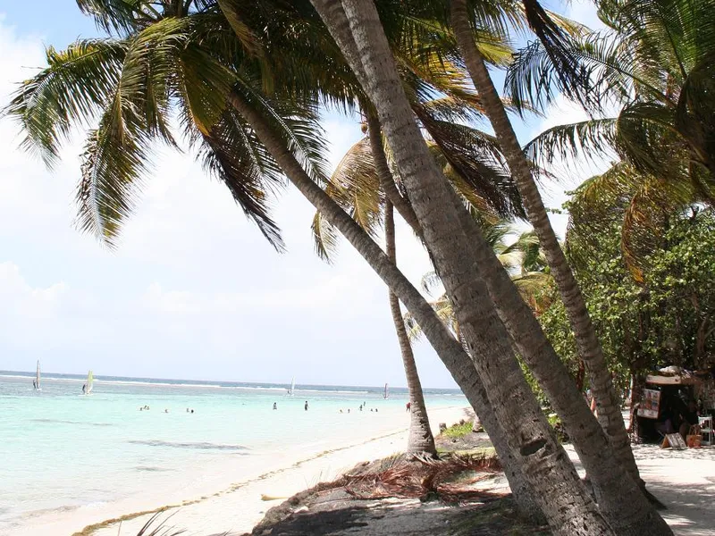 Vue de Sainte-Anne - coaching orientation scolaire