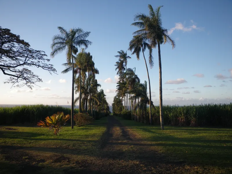 Vue de Sainte-Suzanne - coaching orientation scolaire